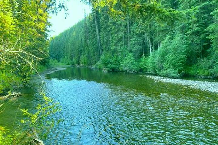 escort Elk Creek