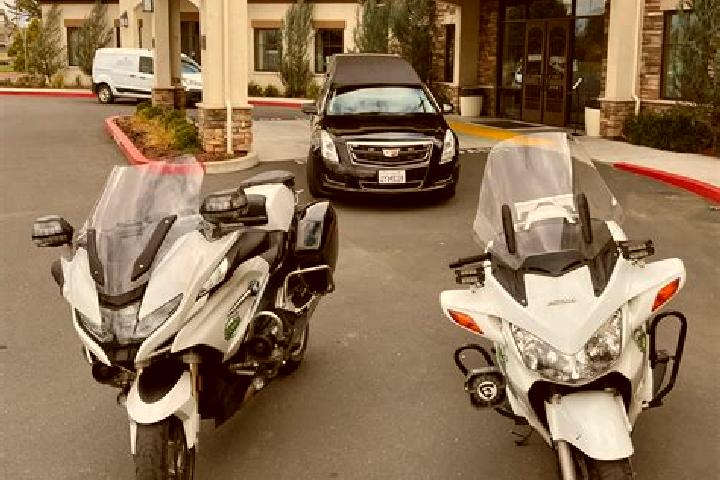 escort Elk Grove