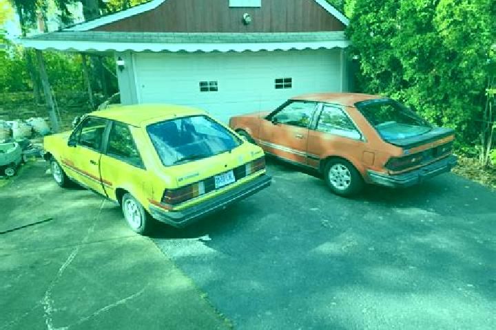 escort Ellenberg