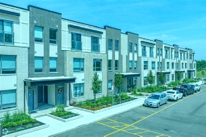 escort Elms-Old Rexdale