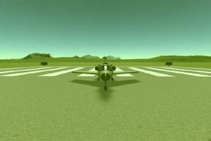 escort Elon