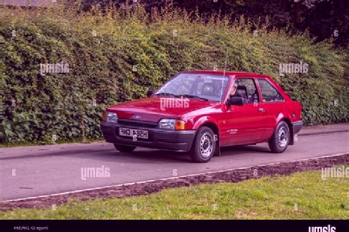 escort Elstead