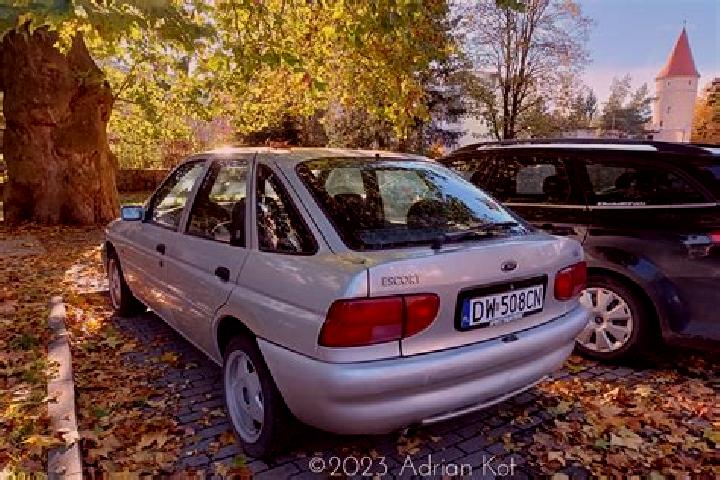 escort Elyakhin
