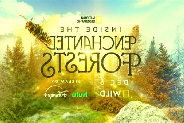 escort Enchanted Hills
