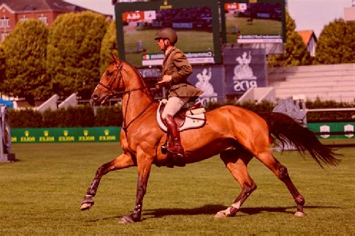 escort Enner Glynn