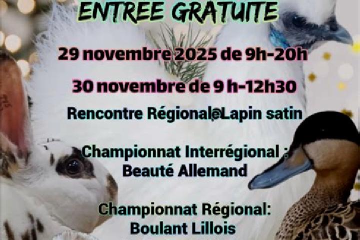 escort Enquin-les-Mines