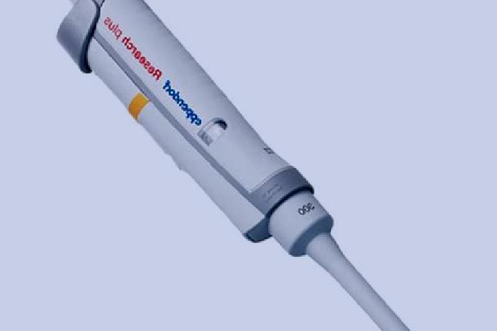 escort Eppendorf