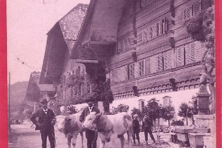 escort Erlenbach im Simmental