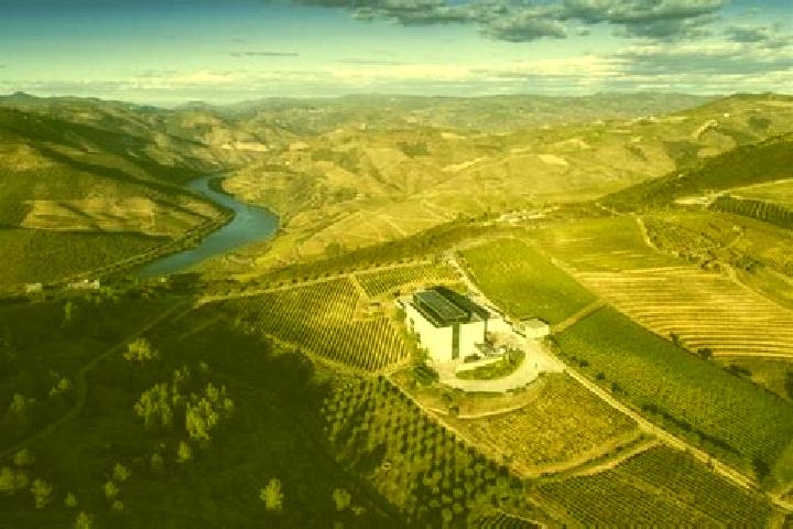 escort Ervedosa do Douro
