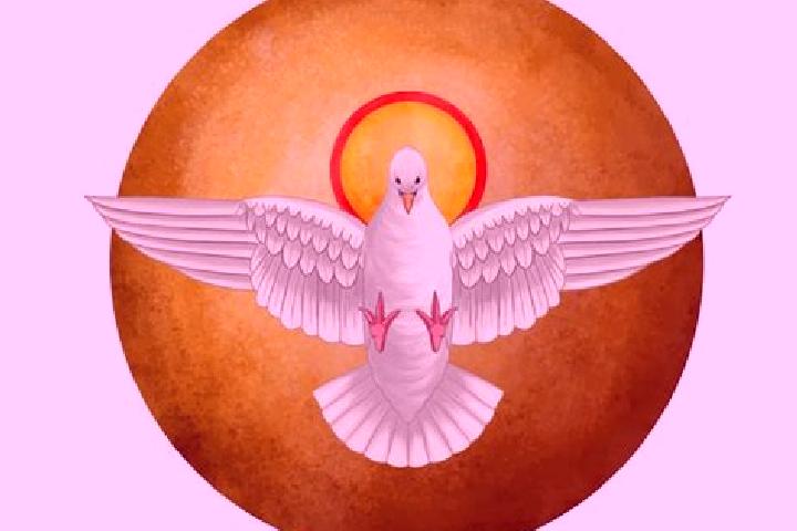 escort Espiritu Santo