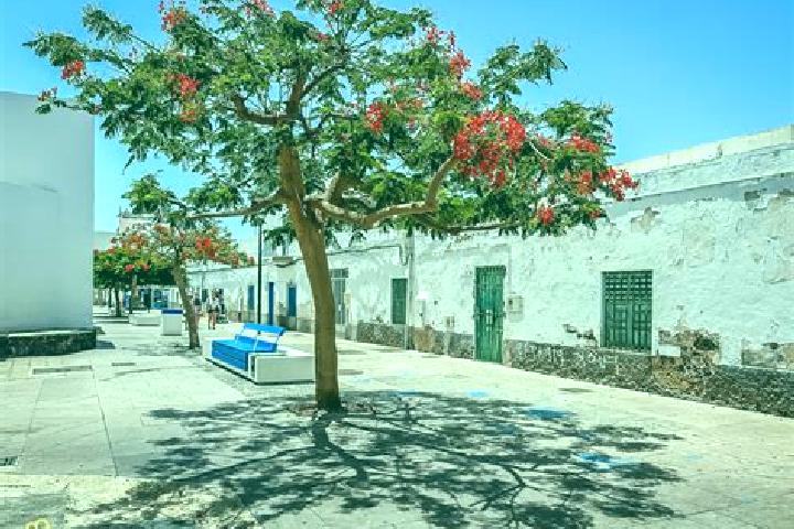 escort Estacion Corralejo