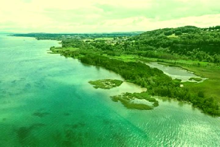 escort Estavayer-le-Lac