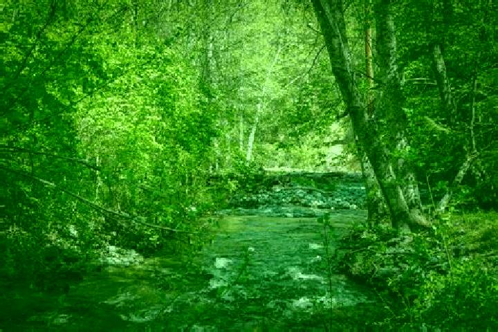 escort Etna Creek