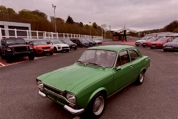 escort Evergreen