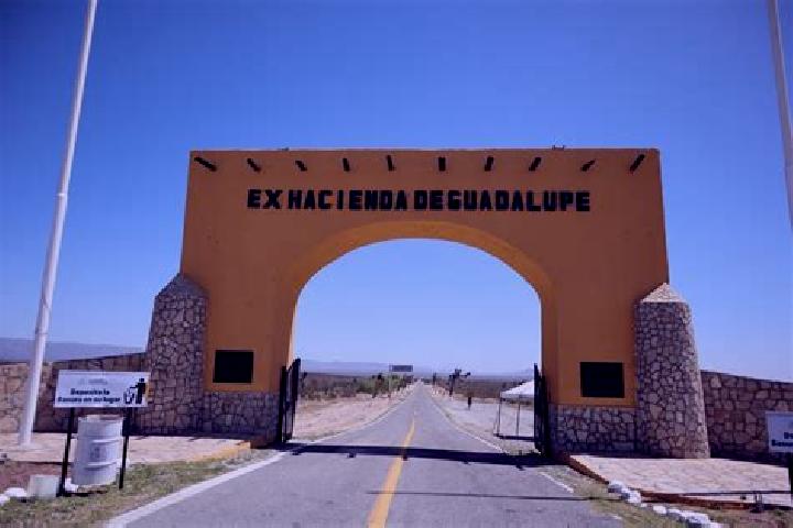 escort Ex-Hacienda de Guadalupe