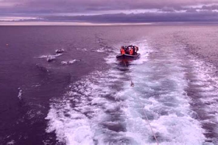 escort Eyemouth