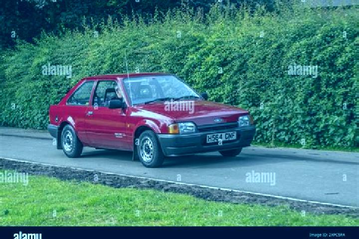 escort Ezinge