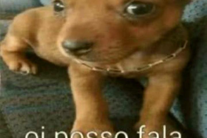 escort Faala