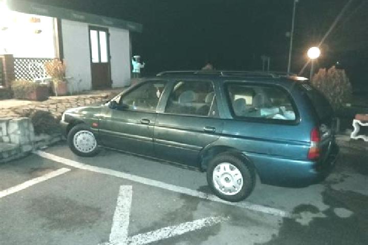 escort Fagaras