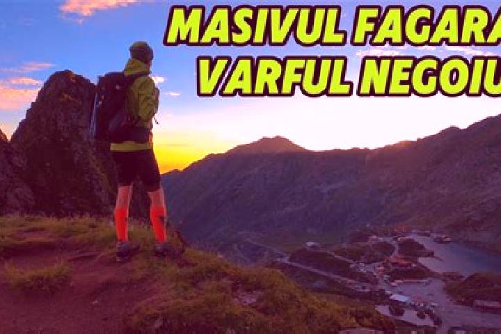 escort Fagarasu Nou