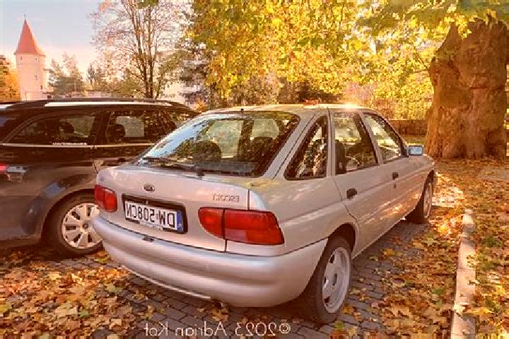 escort Faistenau