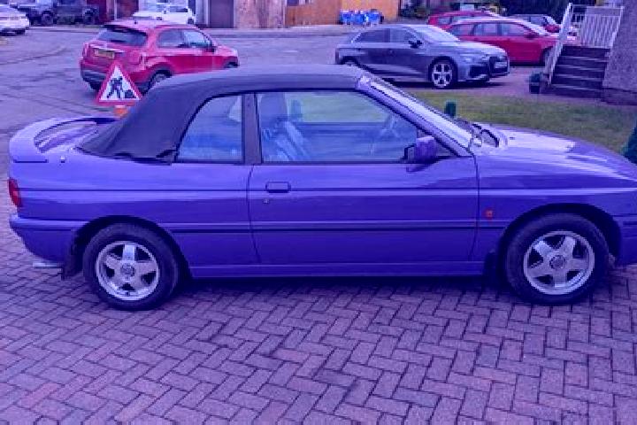 escort Falfield