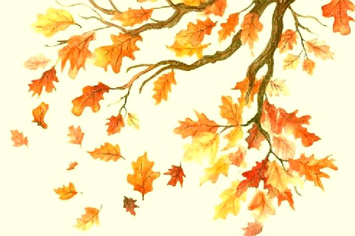 escort Fall Branch