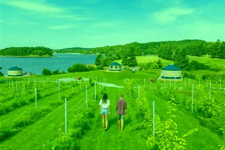 escort Farm Cove