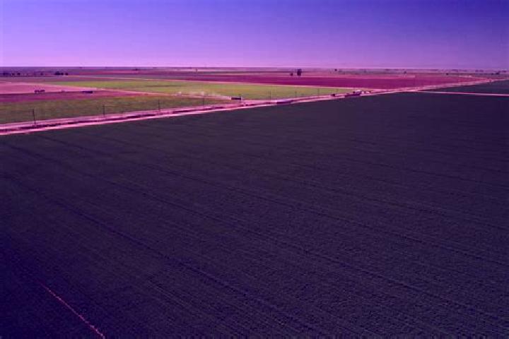 escort Farmland