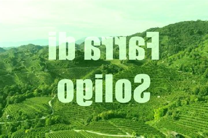 escort Farra di Soligo