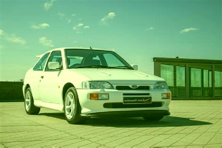 escort Fedderwarden
