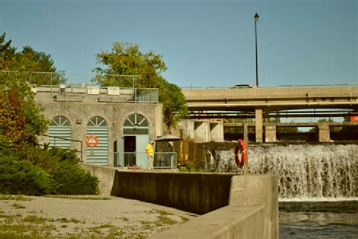 escort Fenelon Falls
