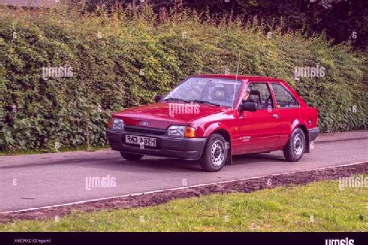 escort Fengyuan