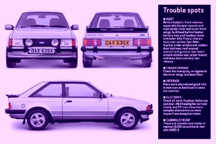 escort Fenxiang