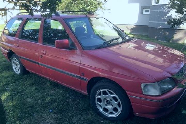 escort Ferizaj