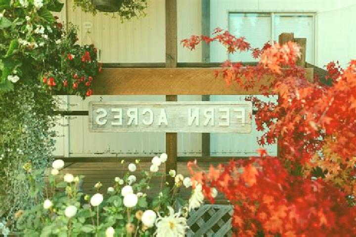 escort Fern Acres