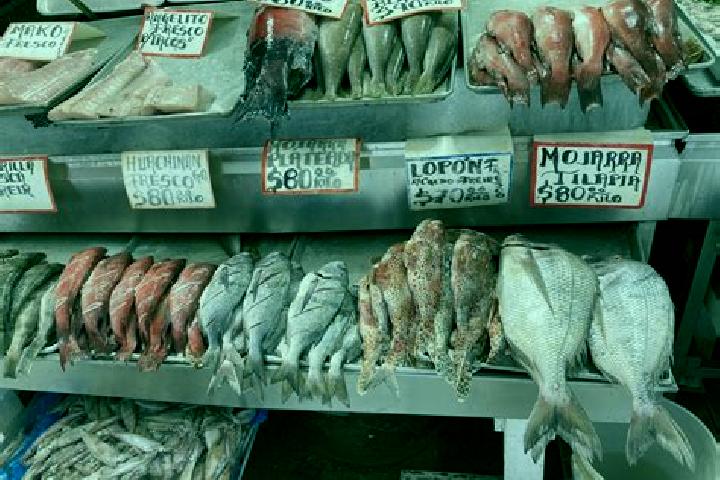escort Fish Town
