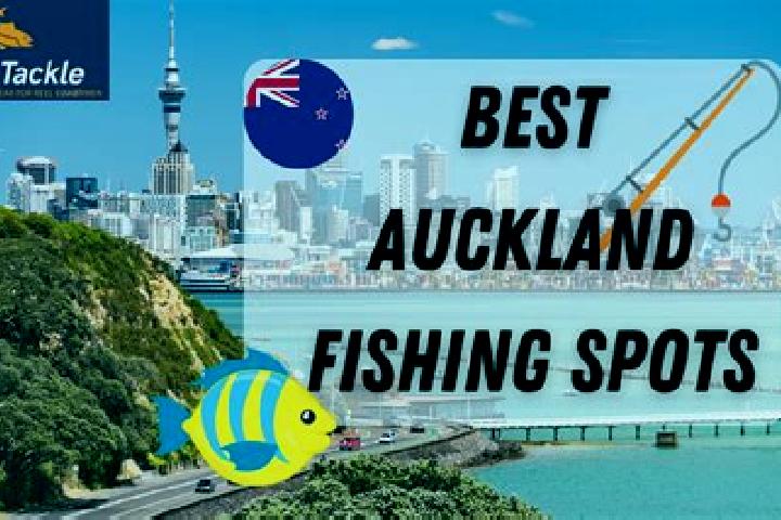 escort Fishing Point
