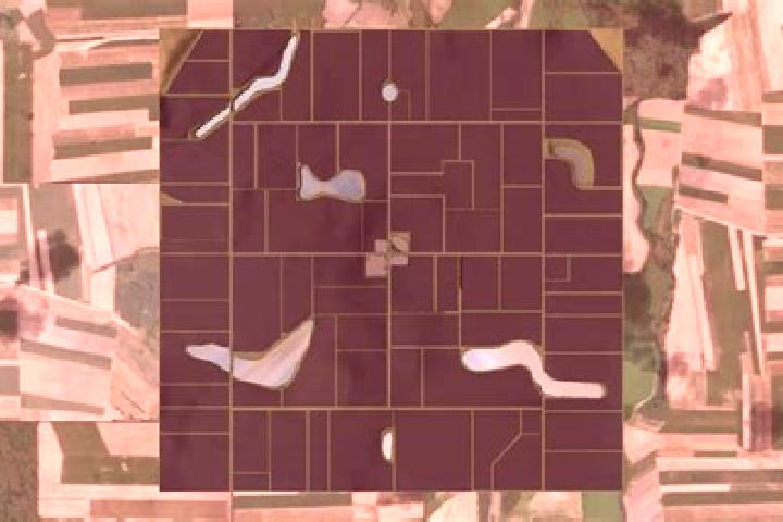 escort Flatlands
