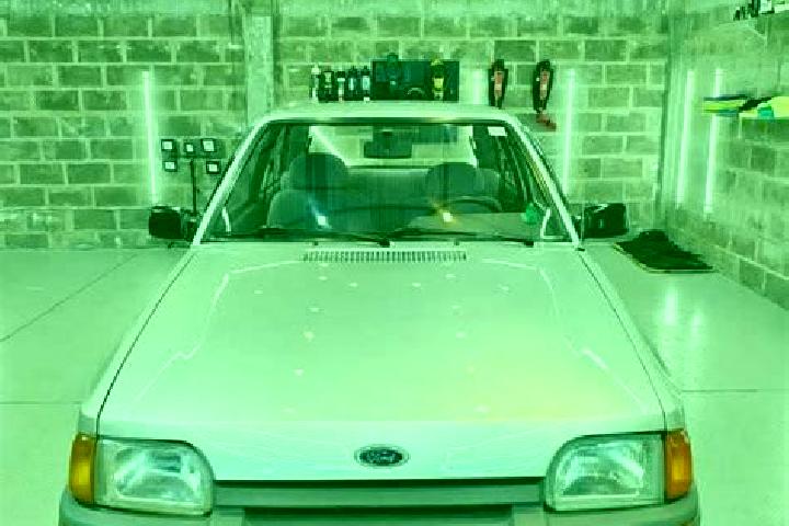 escort Flores da Cunha