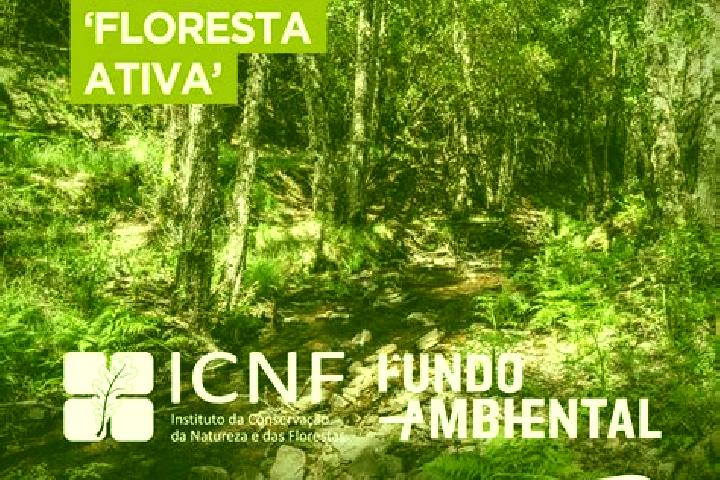 escort Floresta do Piaui