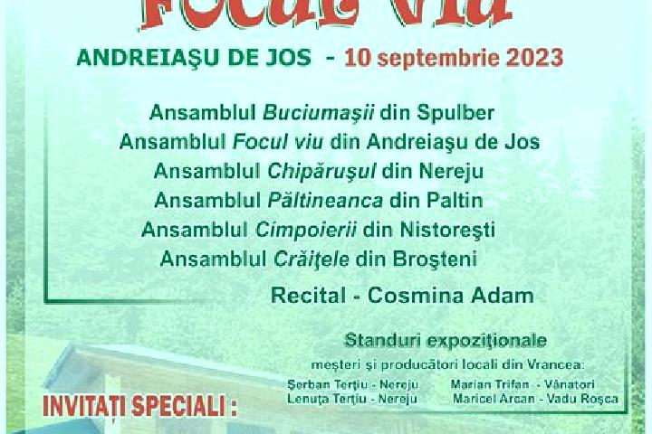 escort Folestii de Jos