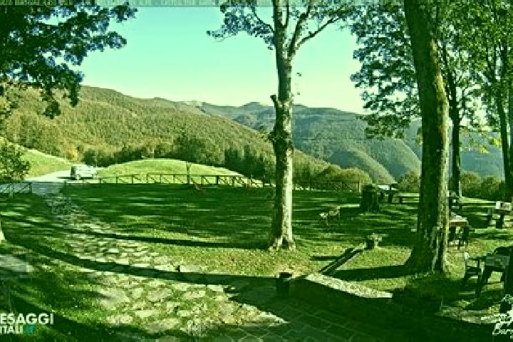 escort Fonte Umano-San Martino Alta