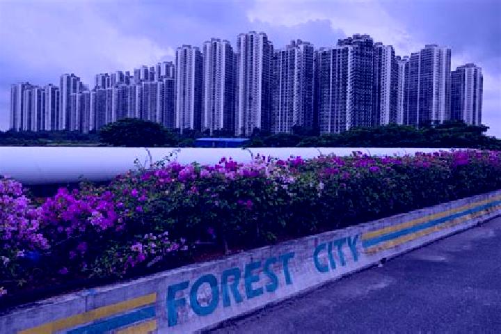 escort Forest City