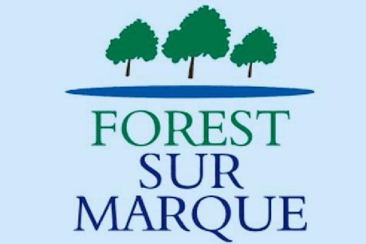 escort Forest-sur-Marque