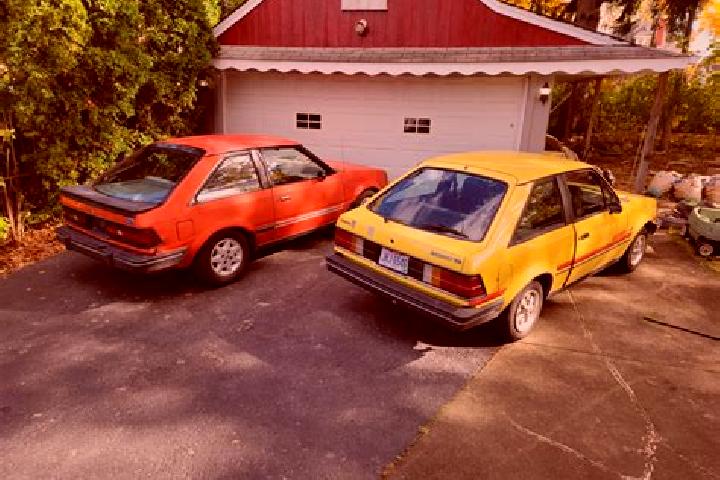 escort Forestbrook