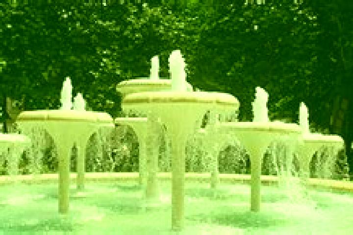 escort Fountain City