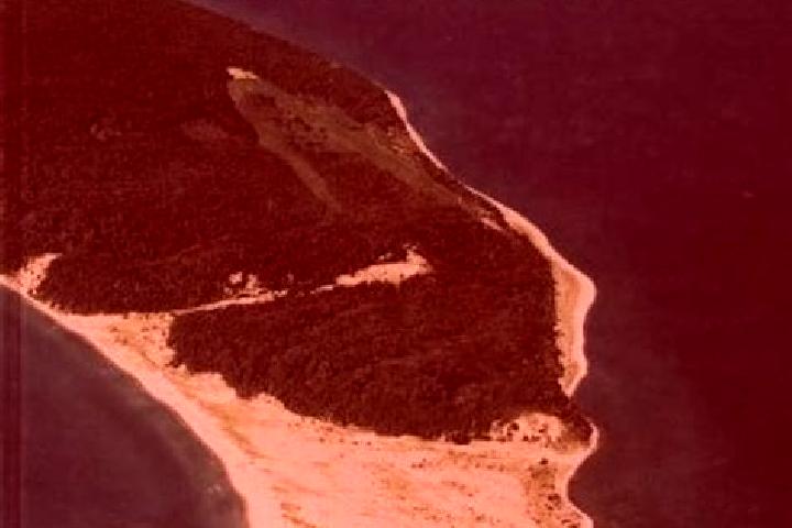 escort Fox Island