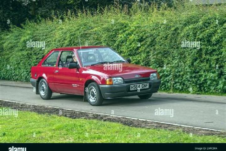escort Foxfire