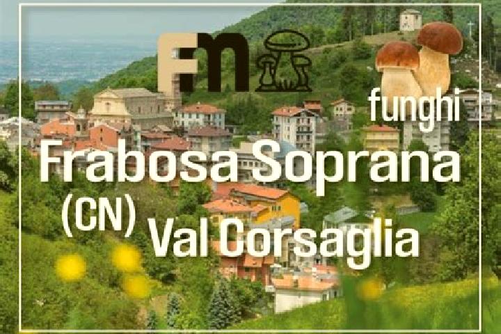 escort Frabosa Soprana